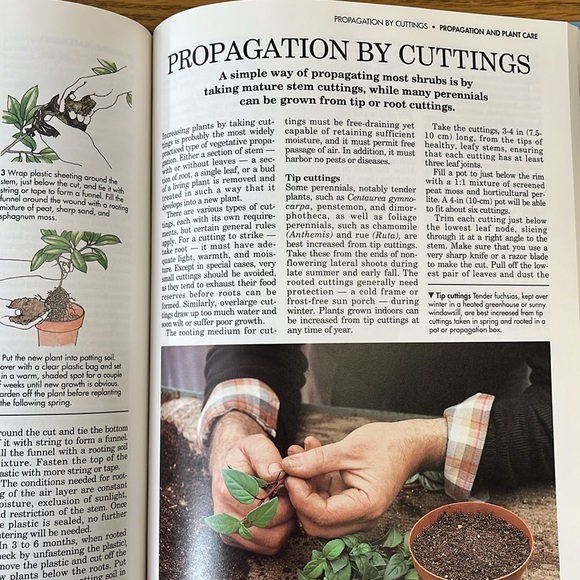The Practical Gardener, Reader's Digest - Picture 12 of 16